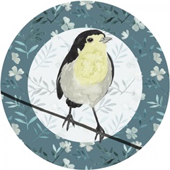 Feathered Friends Collection H