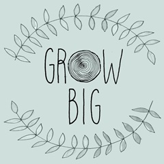 Forest Friends Collection A