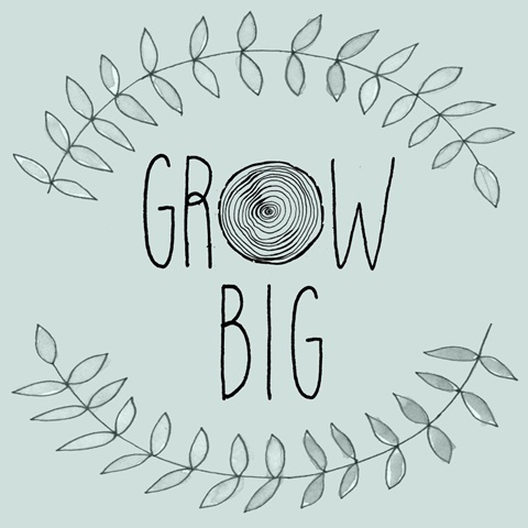 Forest Friends Collection A