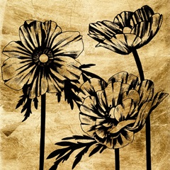 Golden Anemone Collection A