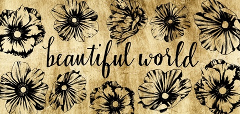 Golden Anemone Collection C