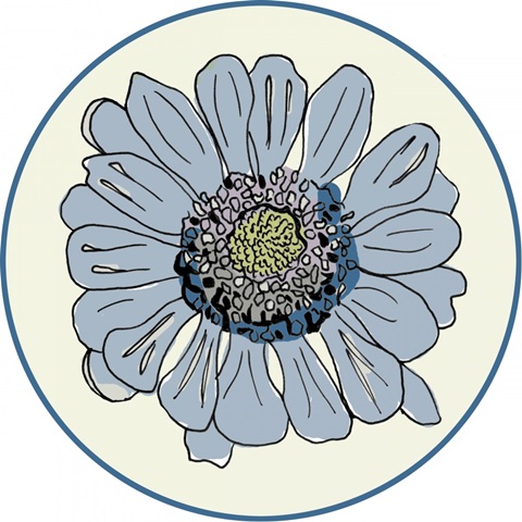 Graphic Garden Collection C