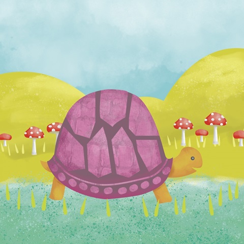 Happy Turtle Collection A