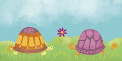 Happy Turtle Collection C