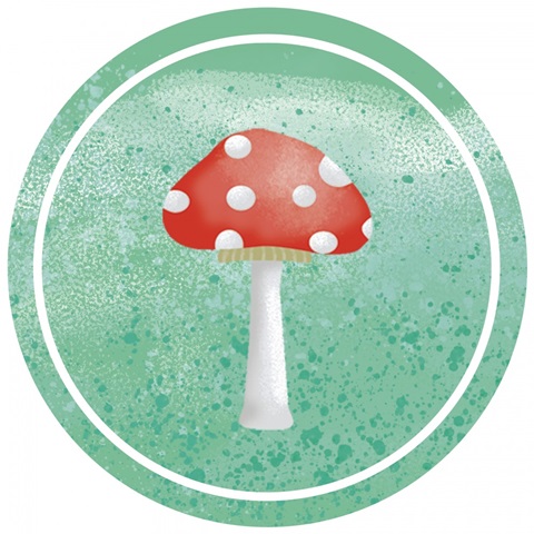 Happy Turtle Collection F