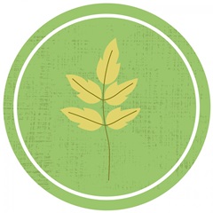 Happy Turtle Collection G