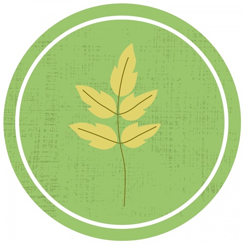 Happy Turtle Collection G