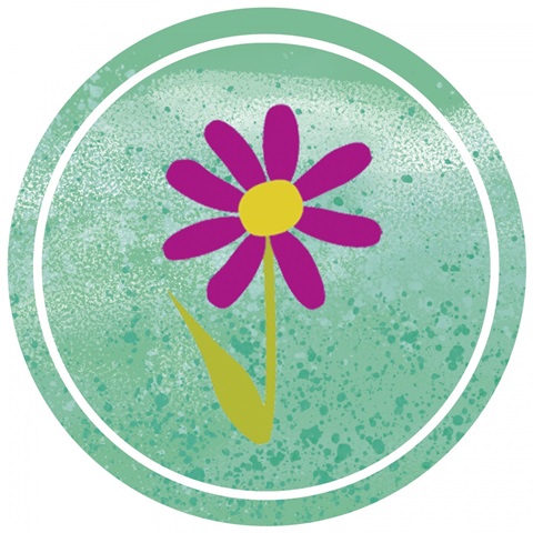 Happy Turtle Collection H