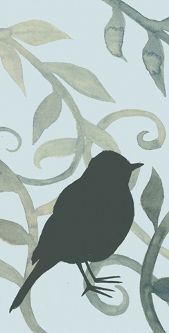 Little Bird Collection B