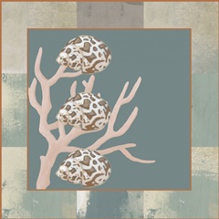 Marine Tableau Collection C