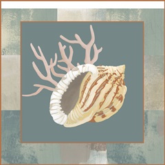 Marine Tableau Collection E