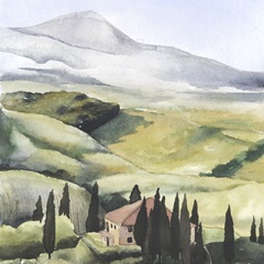 Mediterranean Olive Oil Collection A