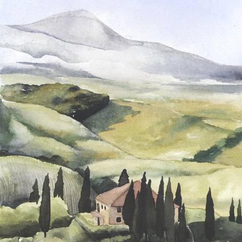 Mediterranean Olive Oil Collection A