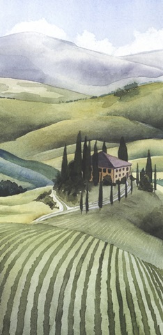 Mediterranean Olive Oil Collection B