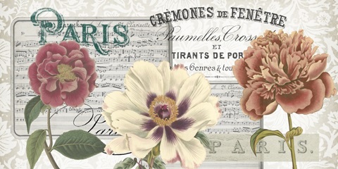 Musical Paris Collection C