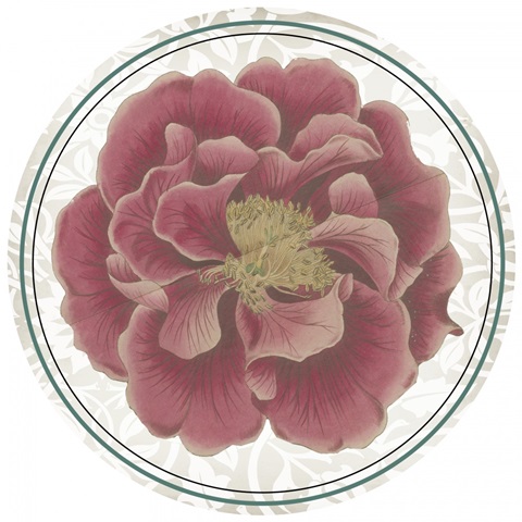 Musical Paris Collection E