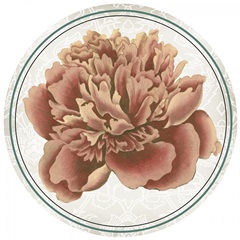 Musical Paris Collection F