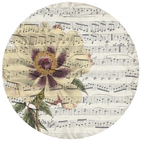 Musical Paris Collection G