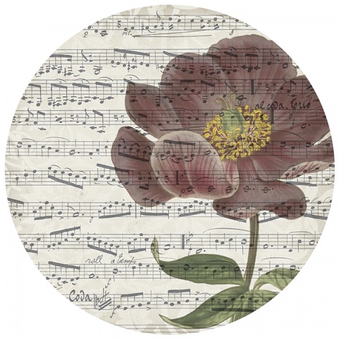 Musical Paris Collection H