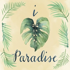 Paradise Palm Collection A