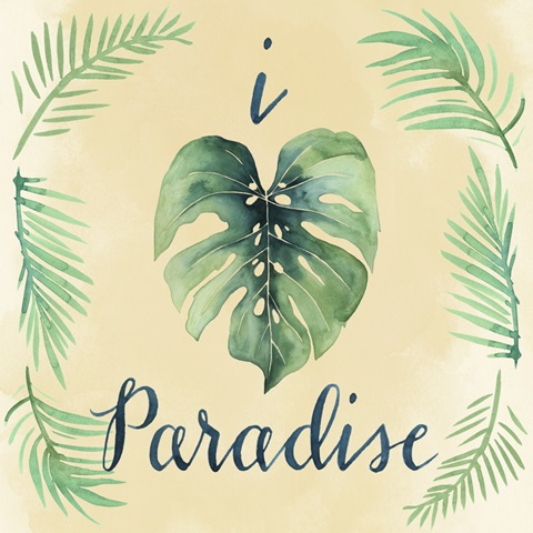 Paradise Palm Collection A