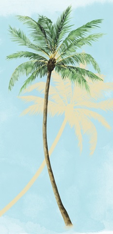 Paradise Palm Collection B