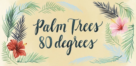 Paradise Palm Collection C