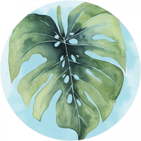 Paradise Palm Collection E