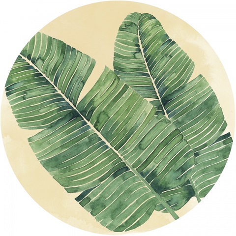 Paradise Palm Collection F