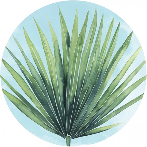 Paradise Palm Collection G