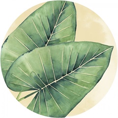 Paradise Palm Collection H