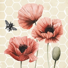 Poppies and Bees A