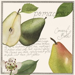 Pryus Fruit Collection E