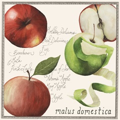 Pryus Fruit Collection F