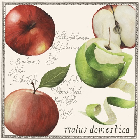 Pryus Fruit Collection F