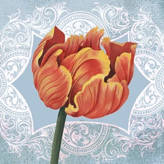 Ruby Tulips Collection B