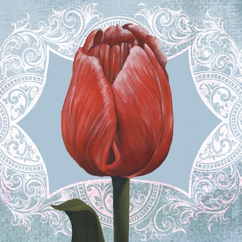 Ruby Tulips Collection C