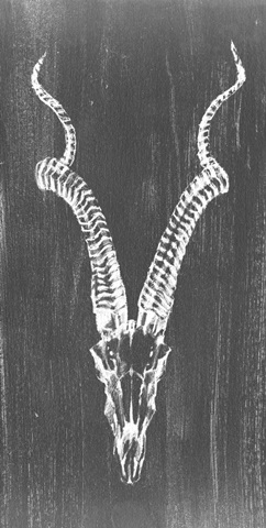 Rustic Mount Collection B