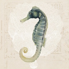 Sea Creatures Collection A