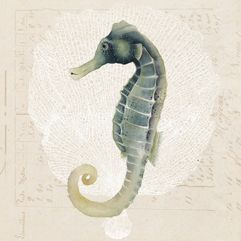 Sea Creatures Collection A