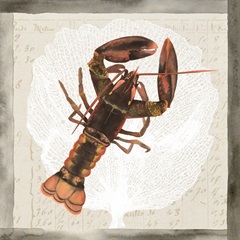 Sea Creatures Collection G