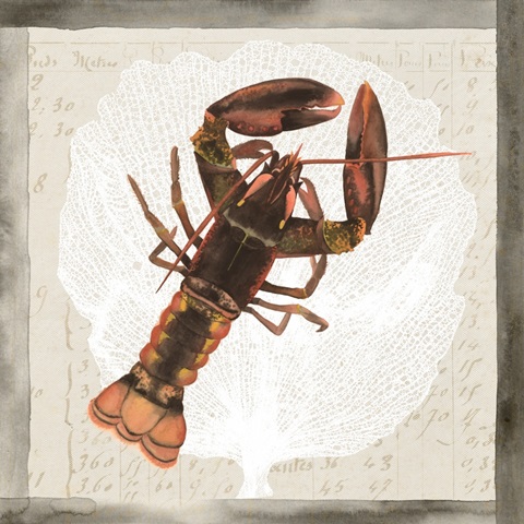 Sea Creatures Collection G