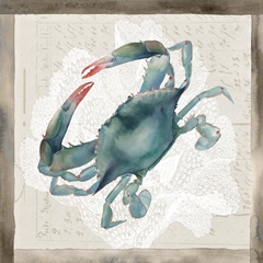 Sea Creatures Collection H