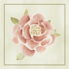 Soft Flower Collection C