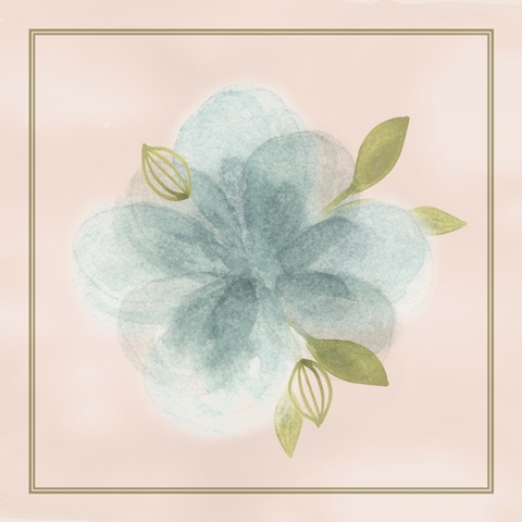 Soft Flower Collection D