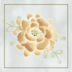 Soft Flower Collection E