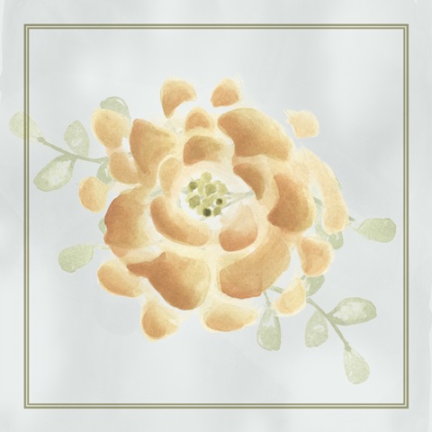 Soft Flower Collection E