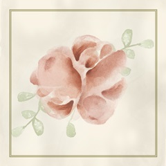 Soft Flower Collection F