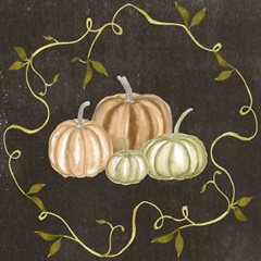 Sophisticated Harvest Collection A