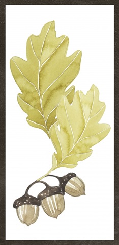 Sophisticated Harvest Collection B